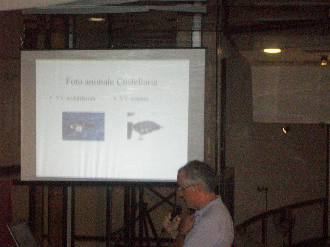Terzo Convegno Malacologico a Sabaudia: alcune foto.